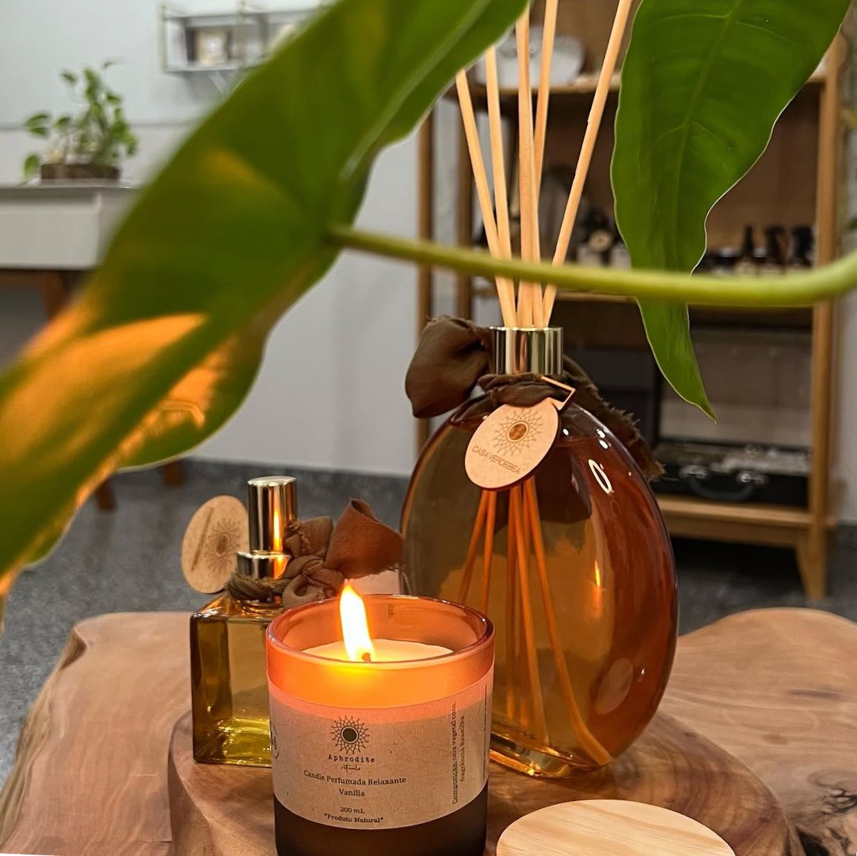Velas aromáticas e difusor de varetas Casa Verde Bea